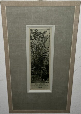 KVĚTINY - WILM HUBERT