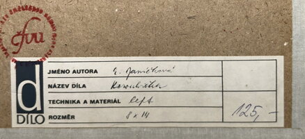 KOROUHVIČKA - JANOUCHOVÁ JANÍČKOVÁ EVA