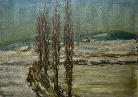 TOPOLY V ZIMNÍ KRAJINĚ - NEZNÁMÝ AUTOR