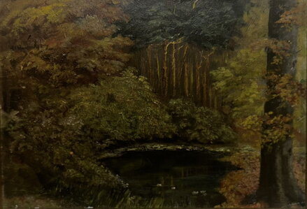 JEZÍRKO V TEMNÉM LESE - SIGNOVÁN