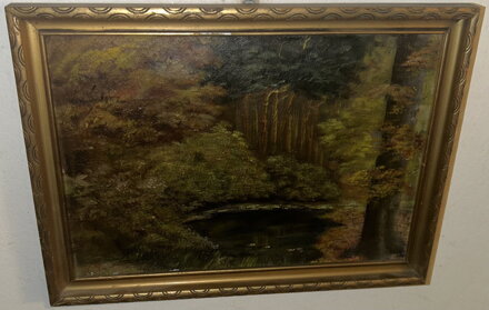 JEZÍRKO V TEMNÉM LESE - SIGNOVÁN