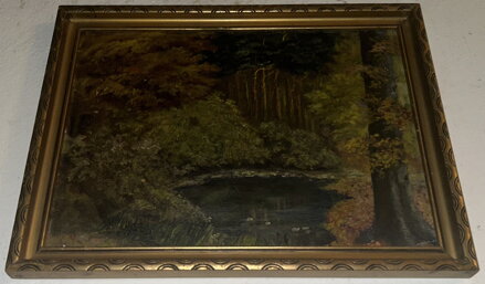 JEZÍRKO V TEMNÉM LESE - SIGNOVÁN