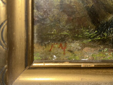 JEZÍRKO V TEMNÉM LESE - SIGNOVÁN