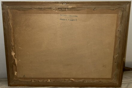 JEZÍRKO V TEMNÉM LESE - SIGNOVÁN