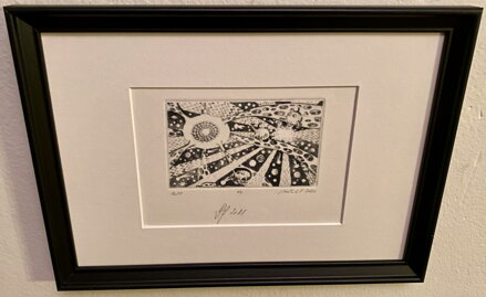 VÁNOČNÍ KORONAHVĚZDY - FALKENAUER L. VAŠEK 