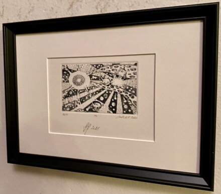 VÁNOČNÍ KORONAHVĚZDY - FALKENAUER L. VAŠEK 