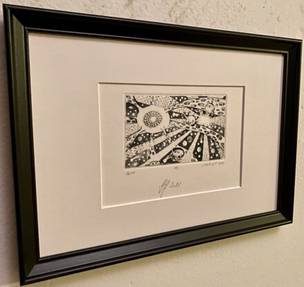 VÁNOČNÍ KORONAHVĚZDY - FALKENAUER L. VAŠEK 