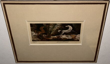 DIVOCÍ KONĚ - OBETHOR KAREL