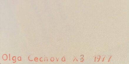 KOMPOZICE ŽENY - ČECHOVÁ OLGA