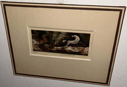 DIVOCÍ KONĚ - OBETHOR KAREL