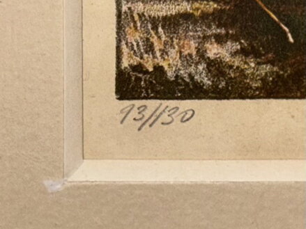 DIVOCÍ KONĚ - OBETHOR KAREL