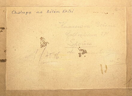 CHALUPA NA BÍLÉM KŘÍŽI - HAJDUČEK ADOLF