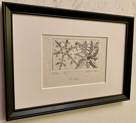 VÁNOČNÍ HVĚZDY 2 - FALKERNAUER L. VAŠEK