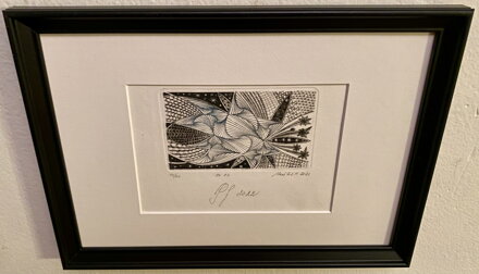 VÁNOČNÍ HVĚZDY 3 - FALKERNAUER L. VAŠEK