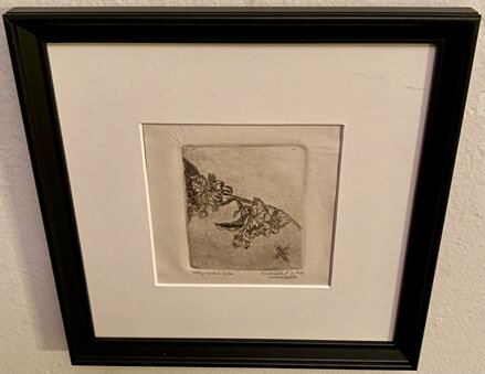 MEDONOSNÉ KVĚTY - VONDRÁČEK F. J.