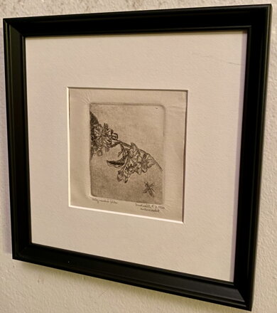 MEDONOSNÉ KVĚTY - VONDRÁČEK F. J.