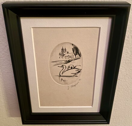 LABUTĚ NA VLTAVĚ POD PRAŽSKÝM HRADEM - MAJEROVÁ J.