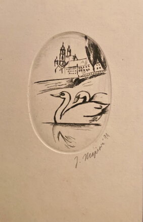 LABUTĚ NA VLTAVĚ POD PRAŽSKÝM HRADEM - MAJEROVÁ J.