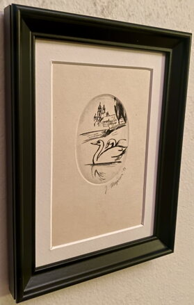 LABUTĚ NA VLTAVĚ POD PRAŽSKÝM HRADEM - MAJEROVÁ J.