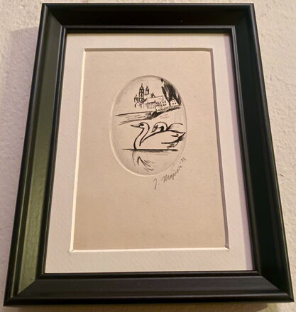 LABUTĚ NA VLTAVĚ POD PRAŽSKÝM HRADEM - MAJEROVÁ J.