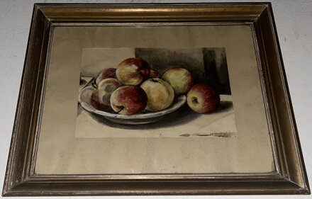 ZÁTIŠÍ S JABLKY - SIGNOVÁN