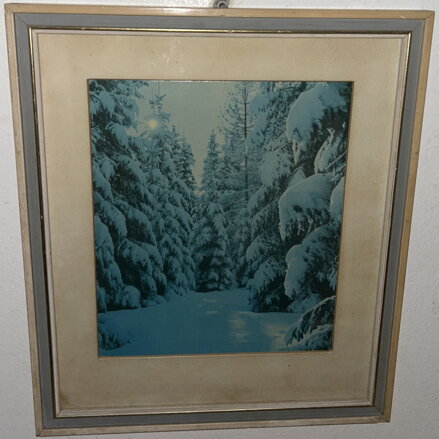 V ZIMNÍM LESE - FOTOGRAFIE V ZIMNÍM LESE - FOTOGRAFIE