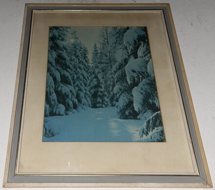 V ZIMNÍM LESE - FOTOGRAFIE V ZIMNÍM LESE - FOTOGRAFIE