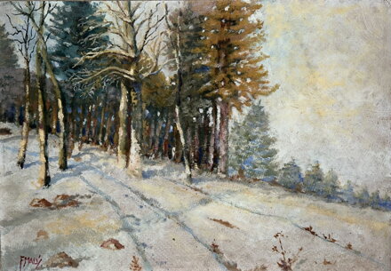 ZIMA U LESA - MALÝ FRANTIŠEK