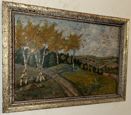 PODZIMNÍ BŘÍZKY - MALÝ FRANTIŠEK