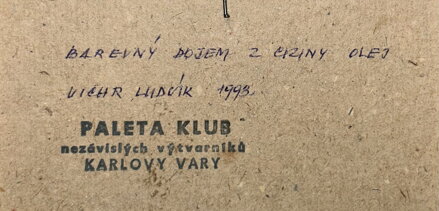 BAREVNÝ DOJEM Z CIZINY - VICHR LUDVÍK