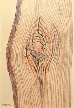 POEZIE DŘEVA - VICHR LUDVÍK