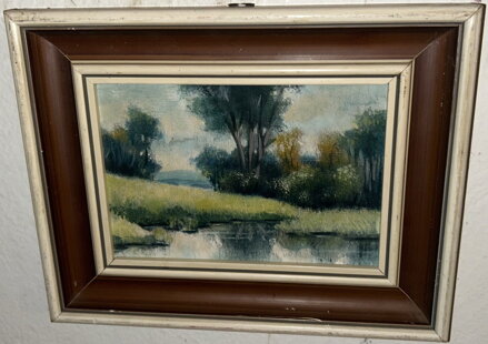 JEZERO V KRAJINĚ - VICHR LUDVÍK