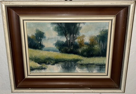 JEZERO V KRAJINĚ - VICHR LUDVÍK