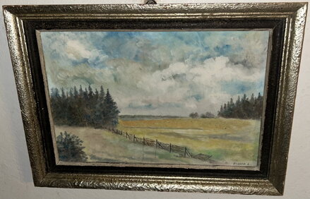 U LESA V KRUŠNOHOŘÍ - LUDVÍK VICHR