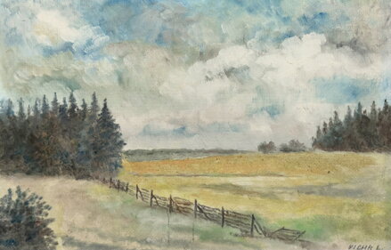 U LESA V KRUŠNOHOŘÍ - LUDVÍK VICHR