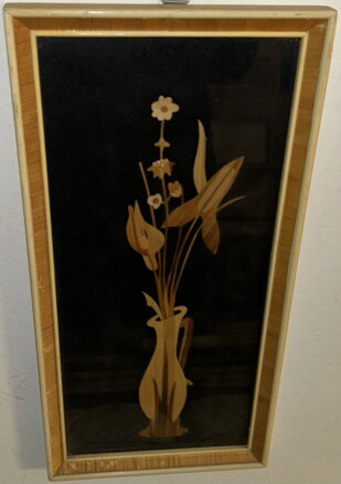 ŠÍPKOVKA VODNÁ - INTARZIE