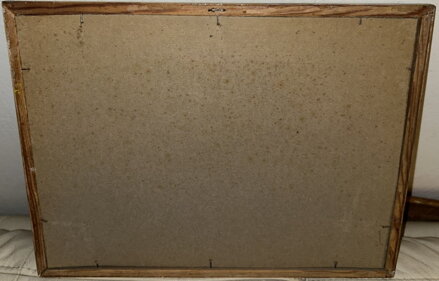 SNOPY U CHATY - BEDNÁŘ J.