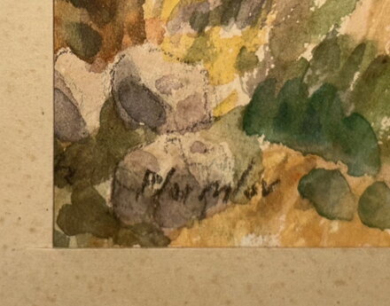 ZÁMEK PLUMLOV - VONDRÁŠEK JIŘÍ