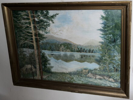 POHLED NA ŘEKU Z LESA - VISELKA