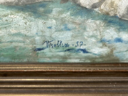 POHLED NA ŘEKU Z LESA - VISELKA