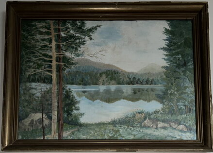 POHLED NA ŘEKU Z LESA - VISELKA