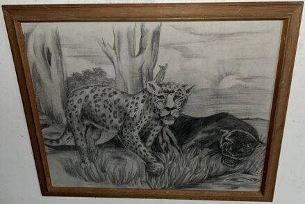 JAGUÁR A LEOPARD - SIGNOVÁN JAGUÁR A LEOPARD - SIGNOVÁN