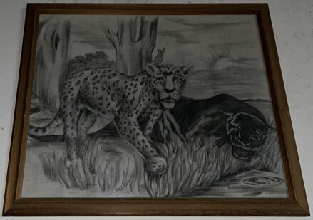 JAGUÁR A LEOPARD - SIGNOVÁN JAGUÁR A LEOPARD - SIGNOVÁN