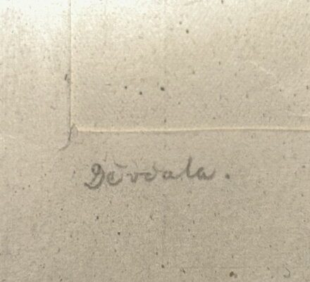 DĚVČATA - JANOUŠEK DUŠAN