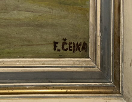 ŠEŘÍKY VE VÁZE - ČEJKA F.