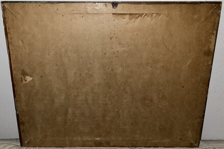 POHLED NA HRADČANY - HOLEČEK JAN