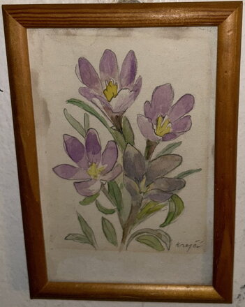 KROKUSY - KREJČÍ