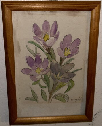 KROKUSY - KREJČÍ