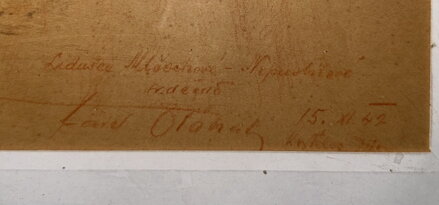 ŽENA V KROJI - OTÁHAL KAREL