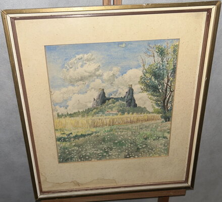 POLE POD TROSKAMI - ŠEDIVÝ KAREL